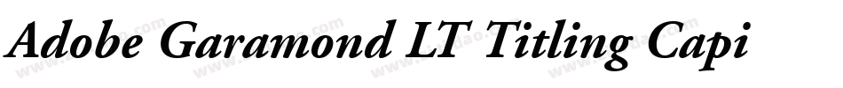 Adobe Garamond LT Titling Capitals字体转换